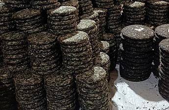 The despair of a tea boss: most of my wealth is tied up in inventory.