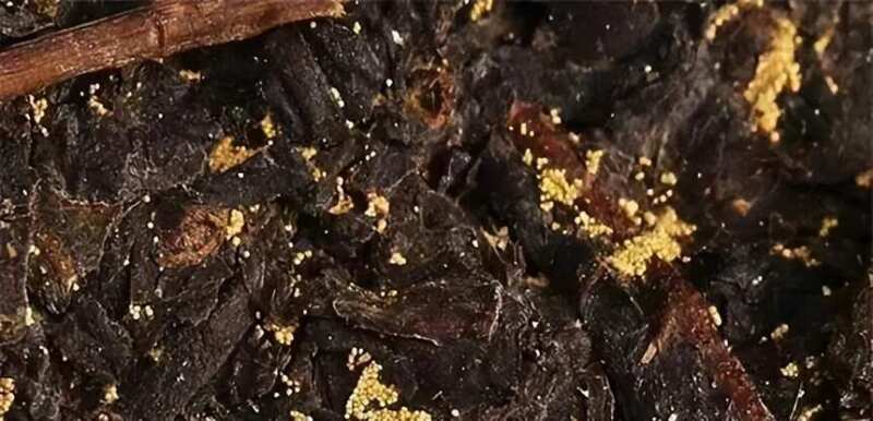 What are the differences and similarities between "Golden Flower" tea and "White Frost" tea?