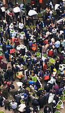 Are China's teas doomed?