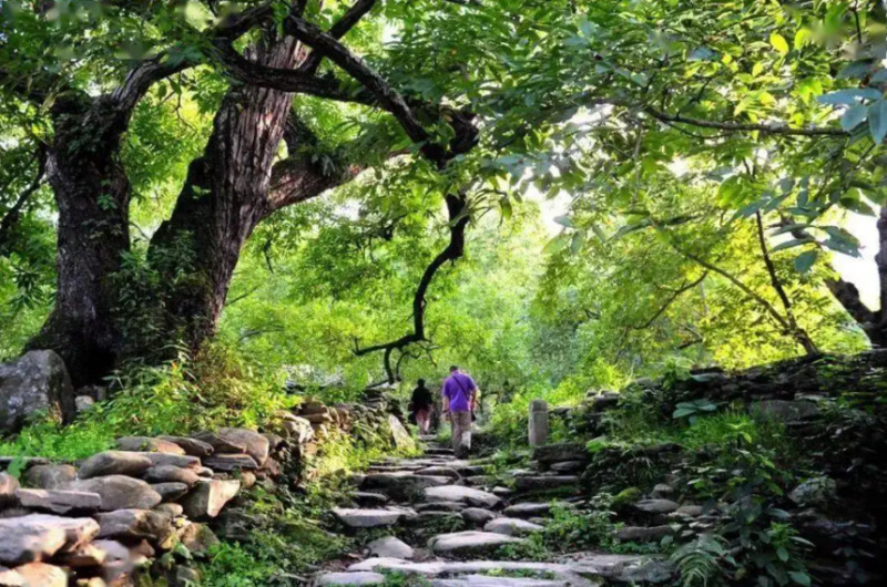 普洱茶进化之路，详解普洱茶发展的三个重要阶段。