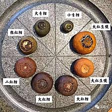 ¿Sabías que beber té de la planta de ginseng puede ser beneficioso para tu salud?