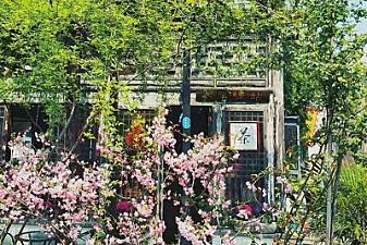 Tea hut, an oasis for tea drinkers.