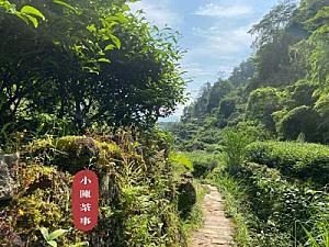 Chrysanthemum and jasmine are too fragrant to be able to reveal the original taste of rock tea?