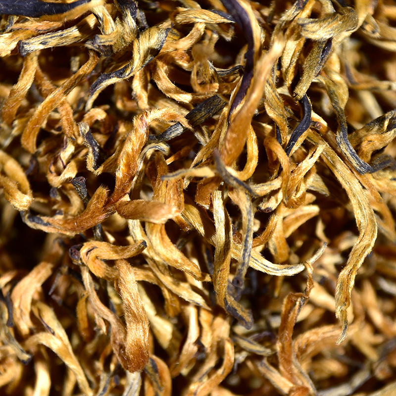 鳳慶ゴールデンスレッド