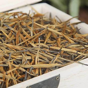 Yunnan Phoenix Ancient Tree Dianhong Black Tea Large Golden Needle Golden Bud Wooden Box Rich Aroma 500g