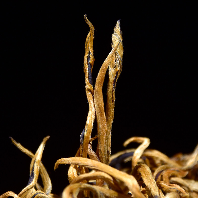 鳳慶ゴールデンスレッド