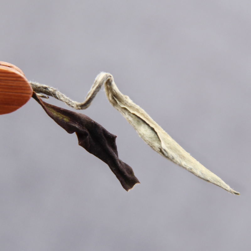 Moonlight White Concentrated Fragrance Two Leaves Moonlight Beauty Bulk 500g