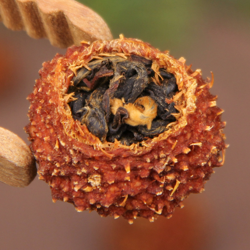 Yunnan Old Tree Black Tea Hawthorn Fruit Dianhong Black Tea