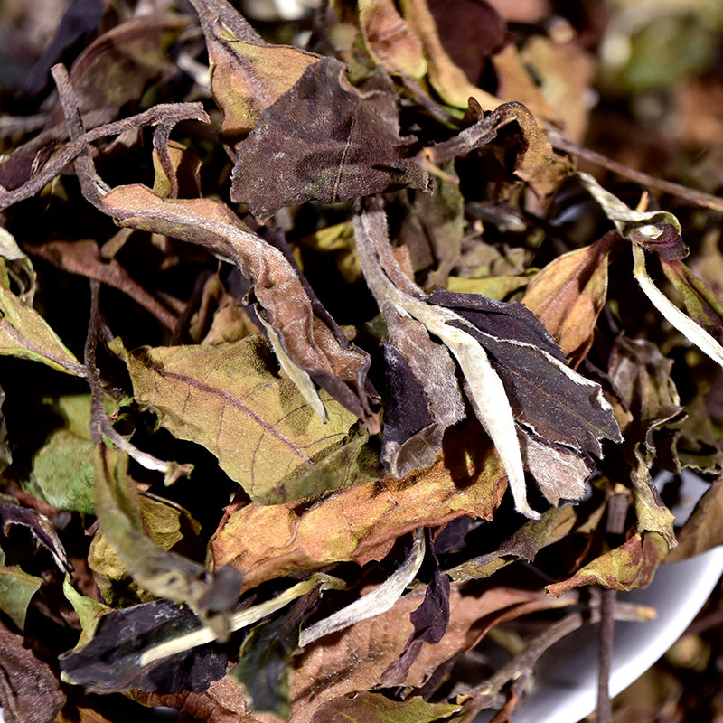 2024 Ancient Tree White Tea