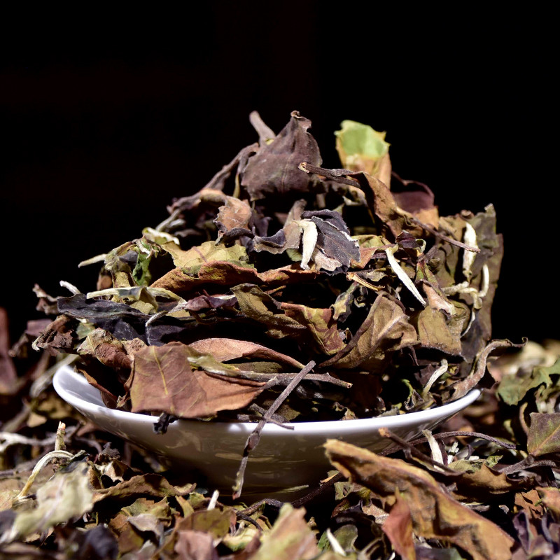 2024 Ancient Tree White Tea